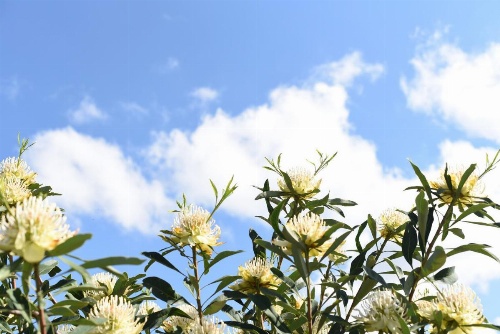 Trevallyn House B & B image 25