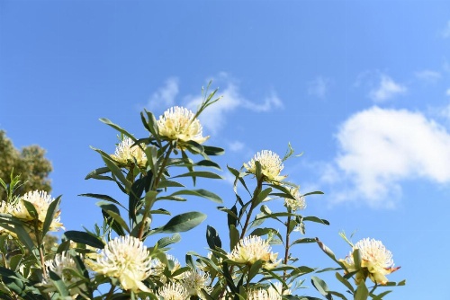 Trevallyn House B & B image 26