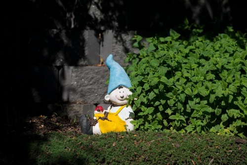 Trevallyn House B & B image 5